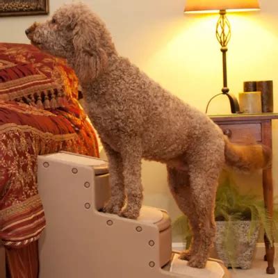 Pet Gear Easy Step III Extra-Wide Pet Steps