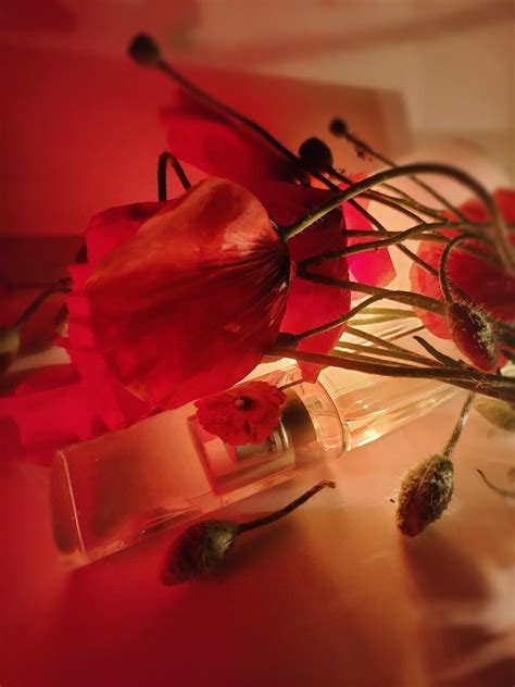 Flower by Kenzo Kenzo аромат — аромат для женщин 2000