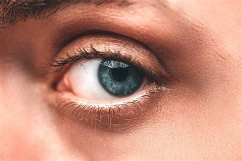 Funny eyes Images - Search Images on Everypixel