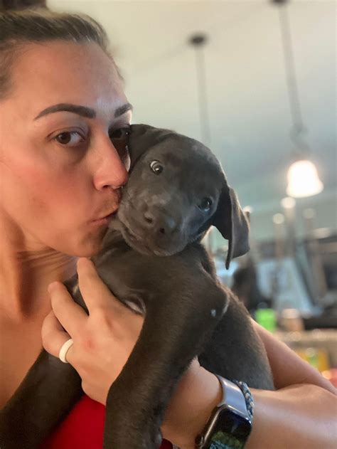 Dog for Adoption - Eva, a Labrador Retriever in Somerset County, NJ