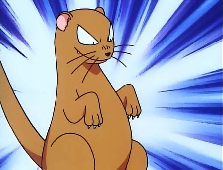 mongoose in Pokemon Earth by EvolvedPKM117 on DeviantArt