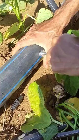 Клипы Стройка