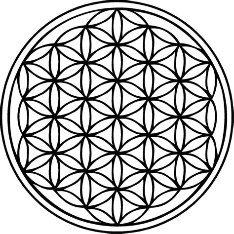 Flower Of Life Vector - ClipArt Best
