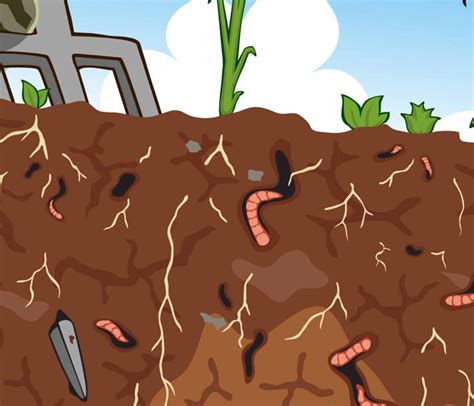 tai sao vi sinh vat trong dat lai rat nhieu