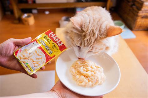 Что делает паучи Inaba Ciao Kinnodashi для кошек такими особенными?