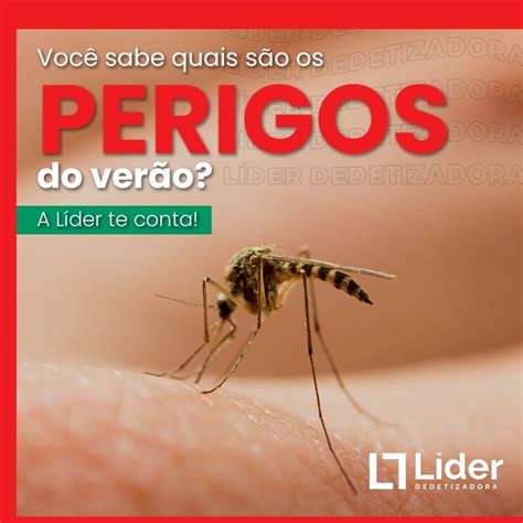 Os Clorofluorcarbonos São Perigosos Porque Podem Destruir A Troposfera