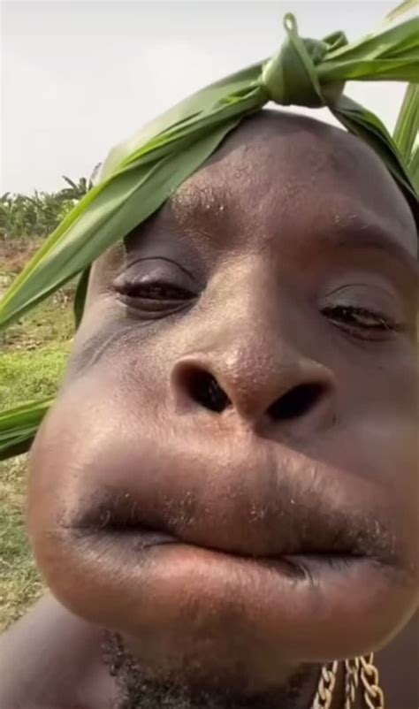 african tribe memes compilation funny  hilarious content tiktok