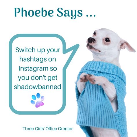 Phoebe Says … Switch Up Your Hashtags On Instagram