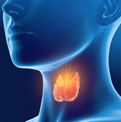 Thyroid Hormone Replacement Therapy Specialist Orange County