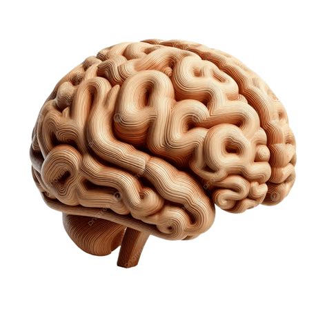 Illustration Of Human Brain Made Wood, Human, Brain, Wood PNG
