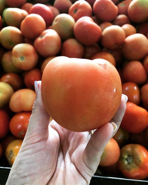 Weber Hortifruti - Tomate é legume ou fruta? 🤔🤔 Muitas pessoas