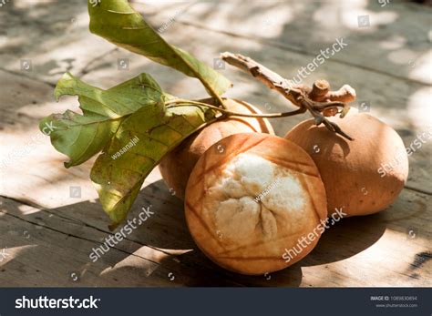 Santol Sentul Red Sentol Yellow Sentol Stock Photo 1089830894 ...