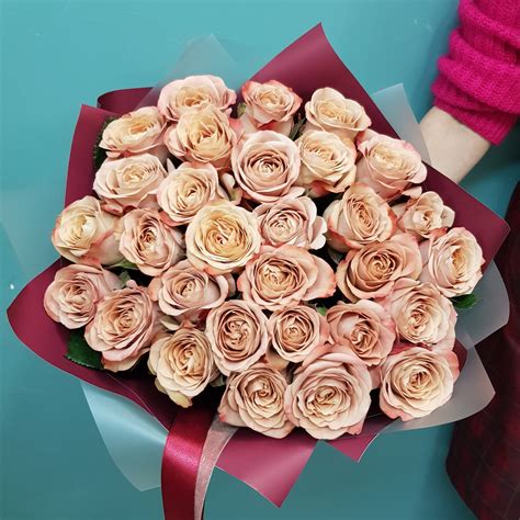 Капучино — miflora