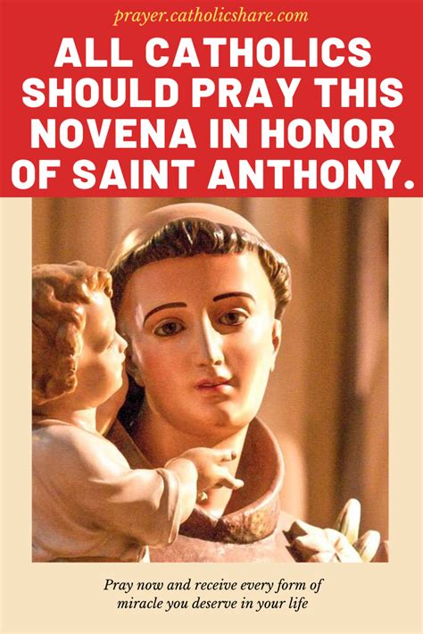 pray  novena  honor  saint anthony novena prayer  saint