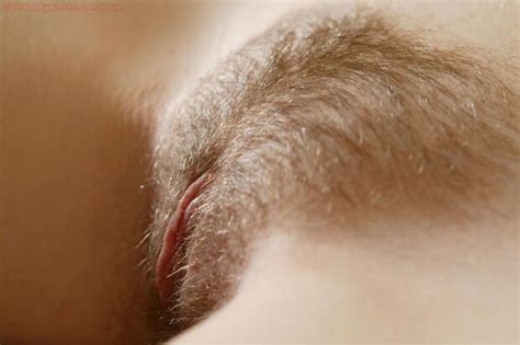 Closeup Pubic hair - tukiyo