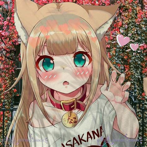 Osakana Neko Wallpapers - Wallpaper Cave