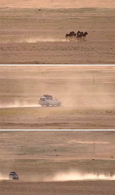 Disgusting Behavior: 46 Entitled Tourists Ruining Things For Everyone