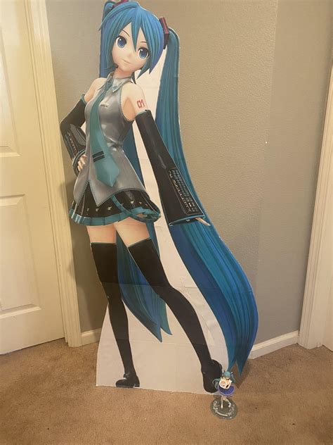 This cutout professional software update includes a secret mode 25