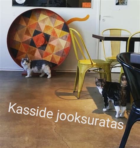 Fotod