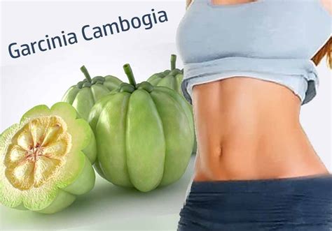 Garcinia Cambogia : The miracle Weight loss Solution: