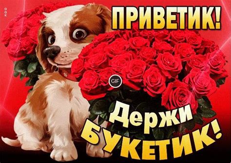 Открытки привет прикольные гиф | Giffs.ru
