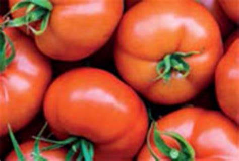 Купить Томат Бодерин 500сем. Сингента(Syngenta) в магазине Зелений Світ