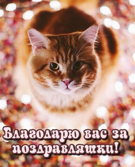 Спасибо за поздравления - очень красивые картинки