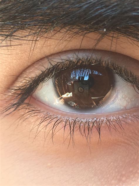 5 best u/nordicpersiancat images on Pholder | Eyes, Hair and Fierce Flow