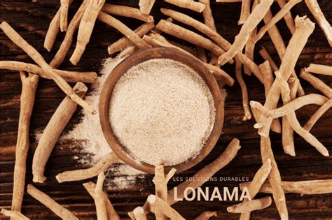 L’ashwagandha : son origine, sa composition et ses bienfaits - LONAMA