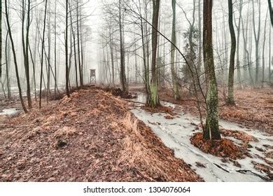 12 Klobuck 이미지, 스톡 사진 및 벡터 | Shutterstock
