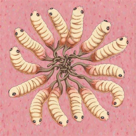 rat tailed maggot king prints etsy