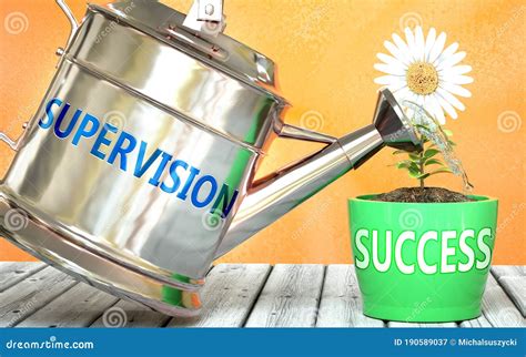 supervision  success pictured  word supervision   key