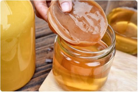 Manfaat Kombucha Belum Banyak Orang Tahu! - Sustaination