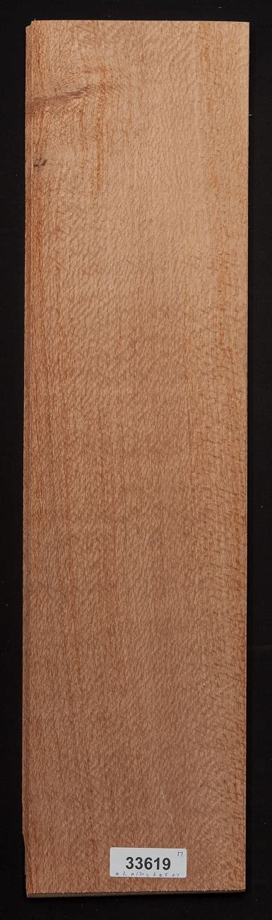 lacewood veneer lot     sheets  lot veneersuppliescom