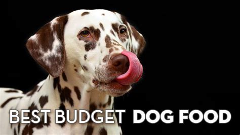 budget dog food picks cheap  quality dog food herepup