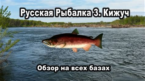 Русская Рыбалка 3. Кижуч. Обзор на всех базах - YouTube