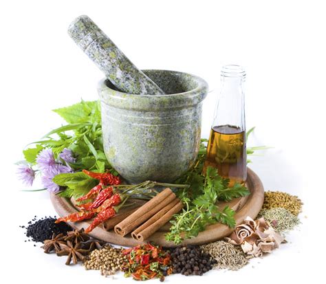 Herbal Remedies for Pain - Dr. Paul Christo MD