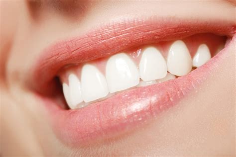 Oral Health: A Window to Your Overall Health - Stacyknows