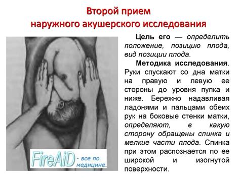 Диагностика беременности - презентация онлайн