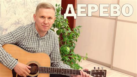 Дерево | Авторская песня на гитаре - YouTube