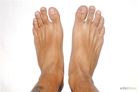 'Feet: Exploring the Function and Care of Our Lower Limbs'