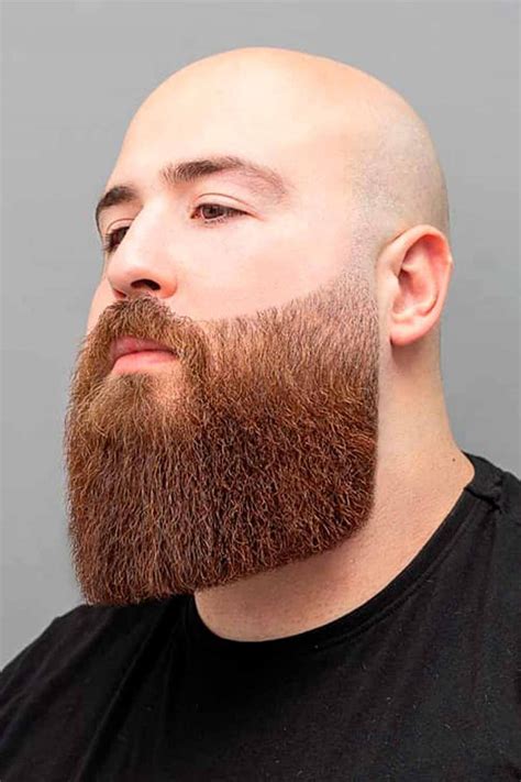 beard fade styles  trimming tips mens haircuts