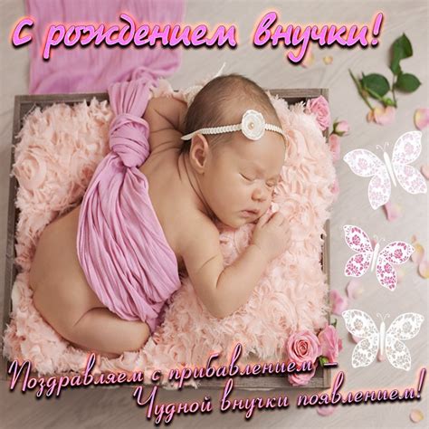 Картинка новорожденная и красивое поздравление - поздравляйте бесплатно ...