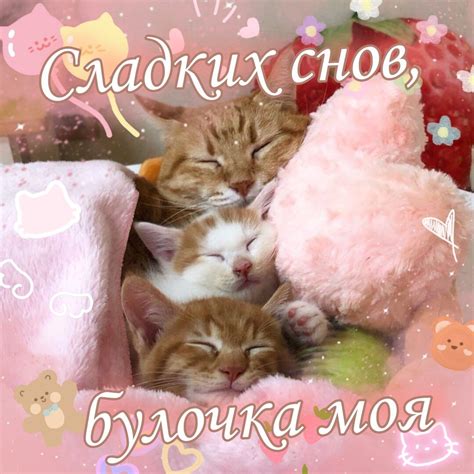 Сладких снов | Сладких снов, малыш, Смешные комплименты, Мемы