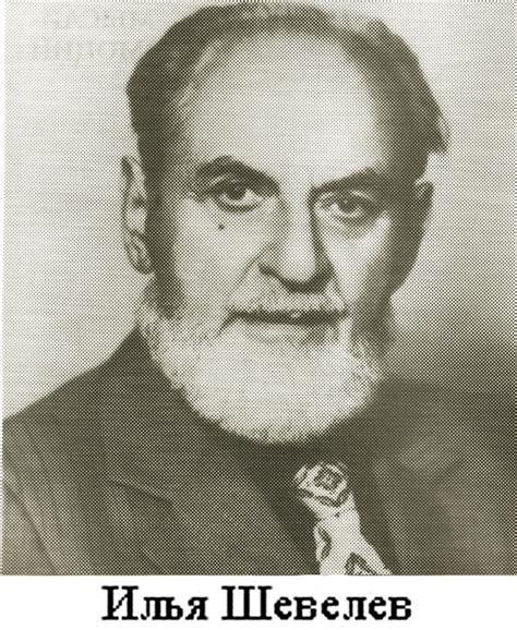 Илья Шевелев