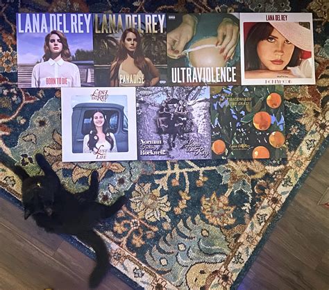 It’s finally complete! featuring my sweet sweet Lana-loving feline🖤 : r