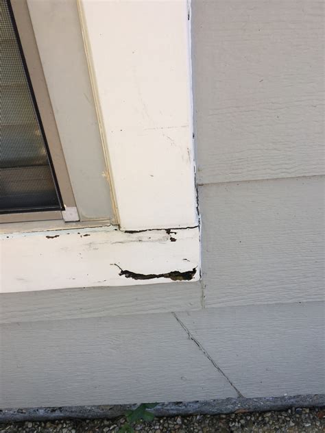 Wood Rotting Under Exterior Window | Home & Garden