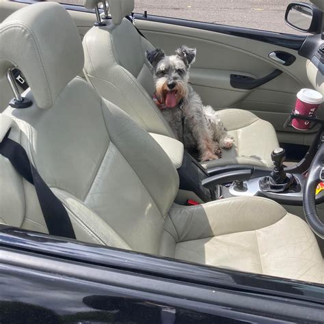 Martin and Bex - Martin and Bex added a new photo.