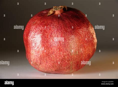 Triroda hi-res stock photography and images - Alamy