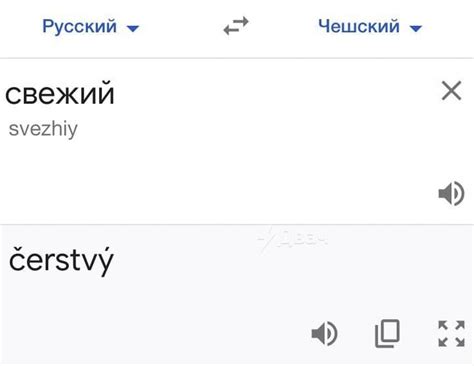 Краткий русско-чешский словарь